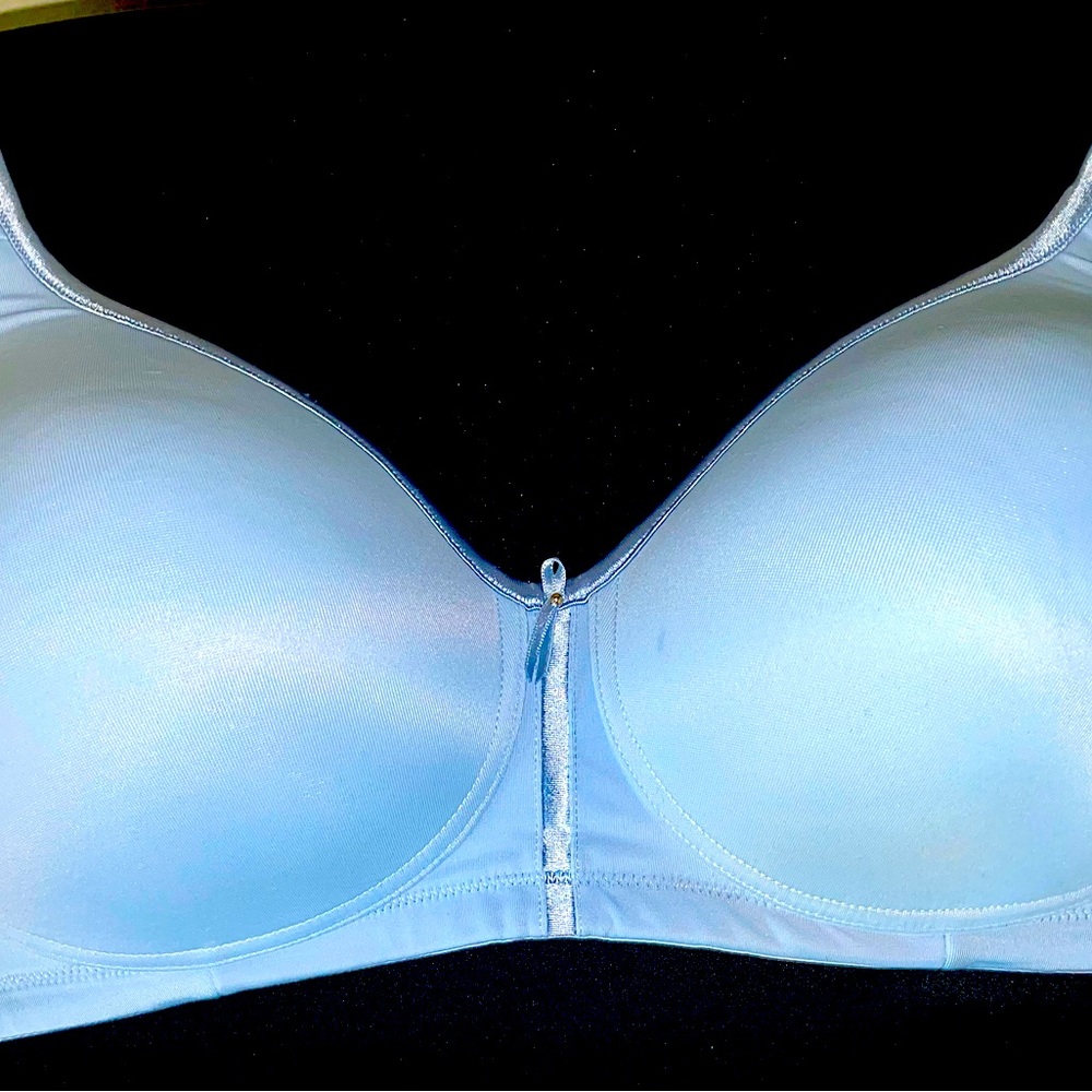 Vanity Fair Light Blue Bra